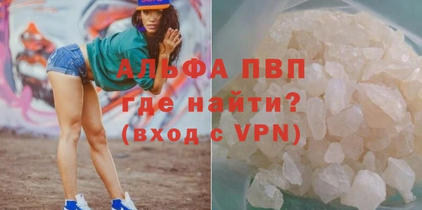 индика Гусиноозёрск