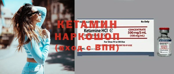 сатива Гусь-Хрустальный
