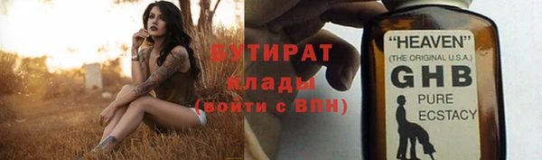 индика Гусиноозёрск