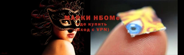 индика Гусиноозёрск