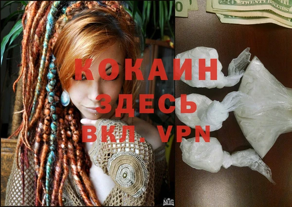 индика Гусиноозёрск
