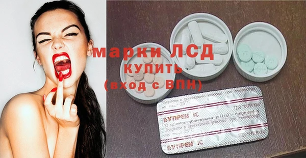 индика Гусиноозёрск