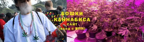 сатива Гусь-Хрустальный