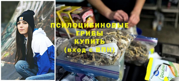 сатива Гусь-Хрустальный