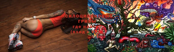 индика Гусиноозёрск