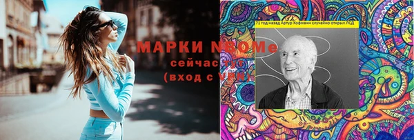 индика Гусиноозёрск