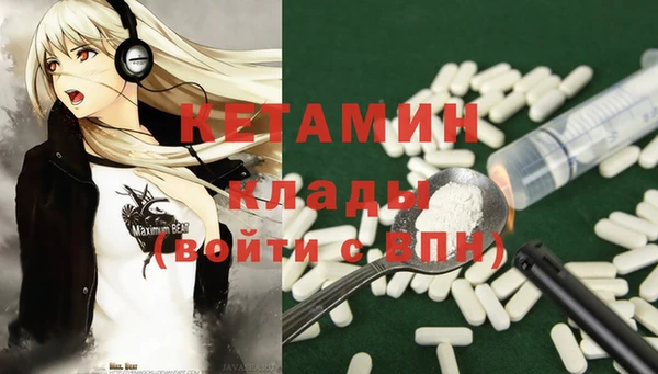 индика Гусиноозёрск