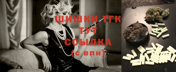 индика Гусиноозёрск
