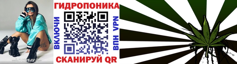 Конопля OG Kush  Купить  Сухиничи 